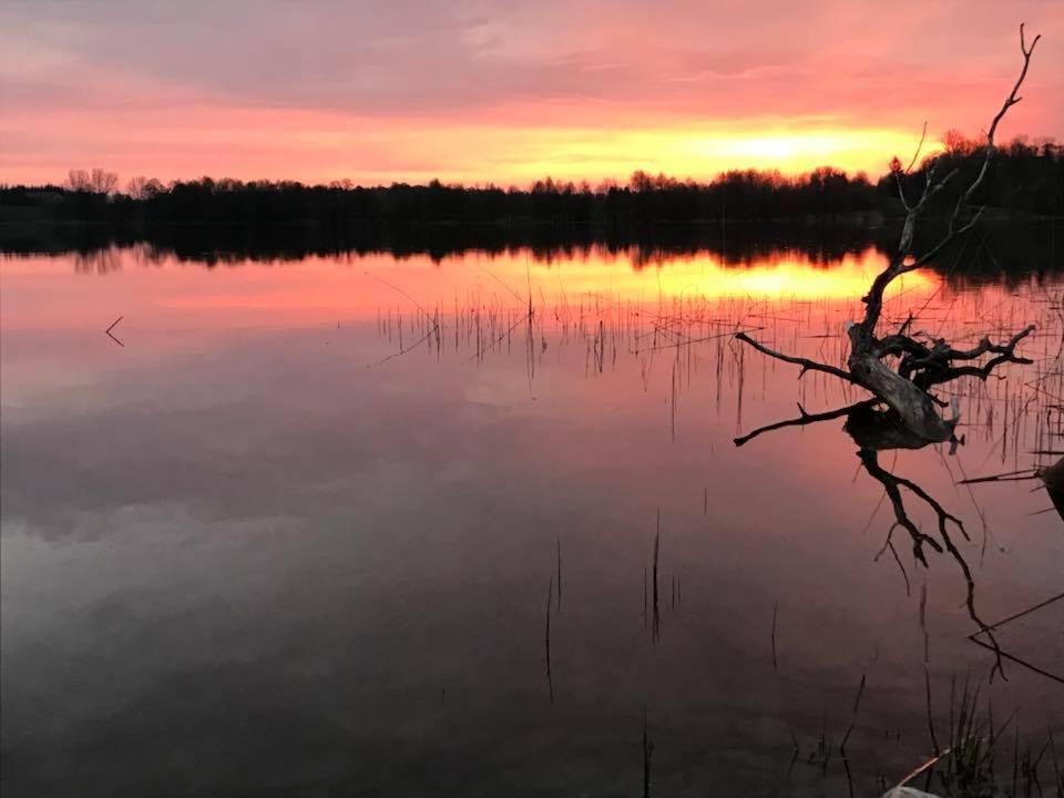 Agroturystyka Na Skarpie Wizajny Exteriör bild